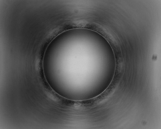 X0000103490641200809121715