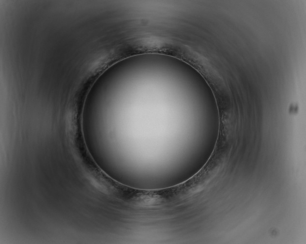 X0000103490642200809121715