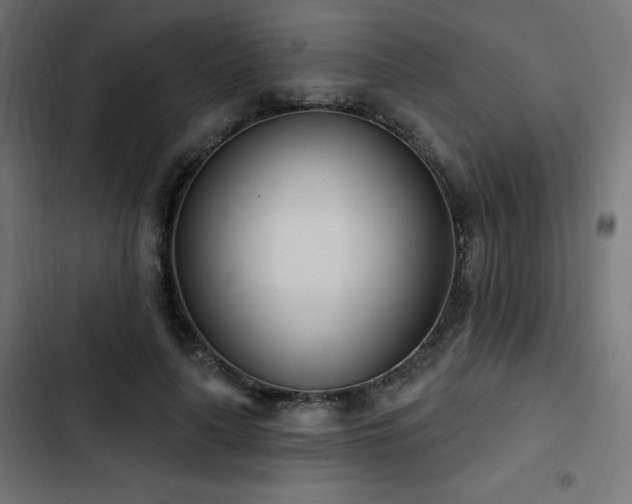 X0000103490643200809121715