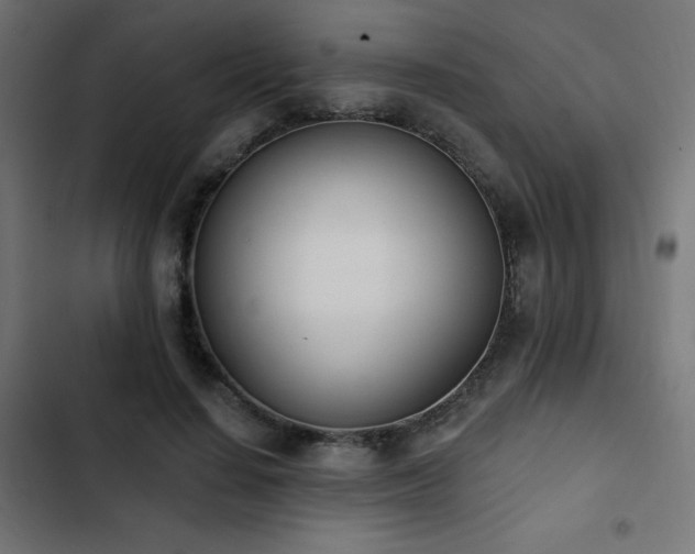 X0000103490644200809121715