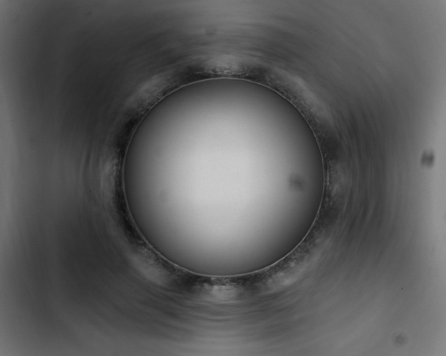 X0000103490645200809121715