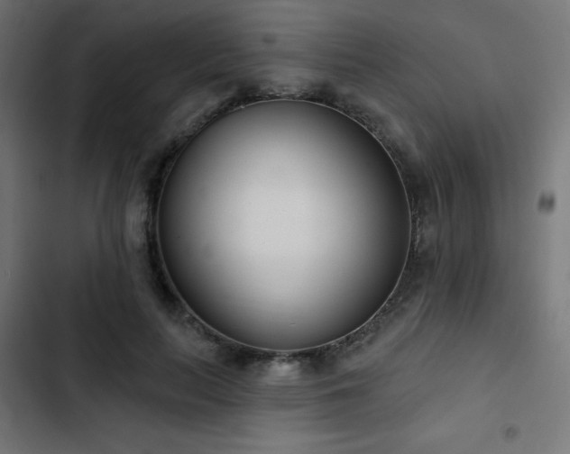 X0000103490647200809121715