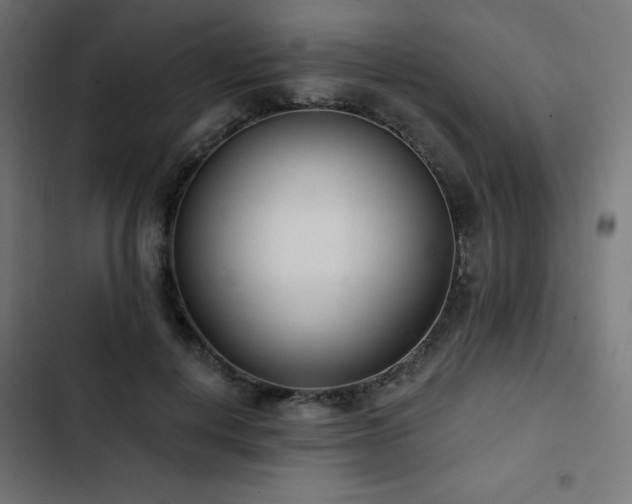 X0000103490648200809121715