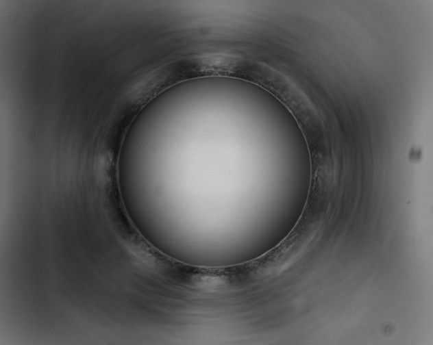 X0000103490649200809121715