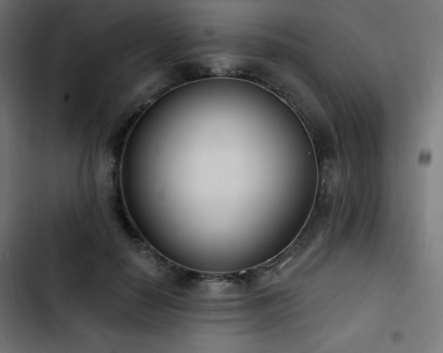 X0000103490650200809121715