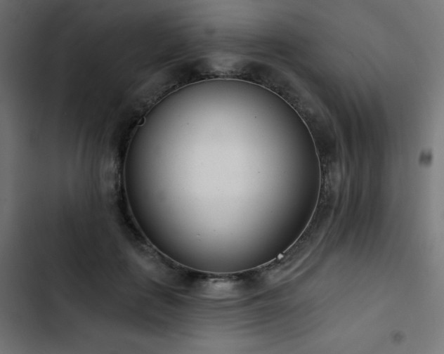 X0000103490651200809121715