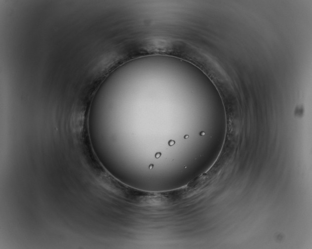 X0000103490652200809121715