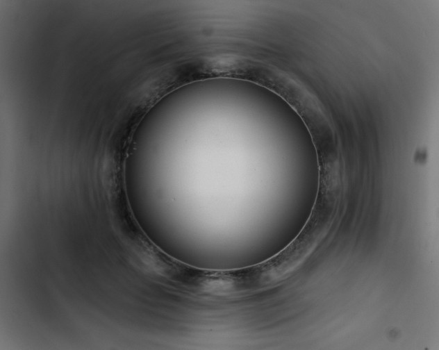 X0000103490653200809121715