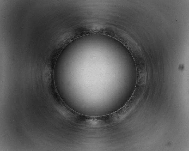 X0000103490654200809121715