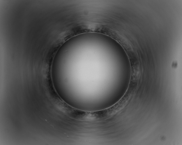 X0000103490656200809121715