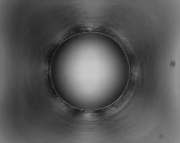 X0000103490657200809121715