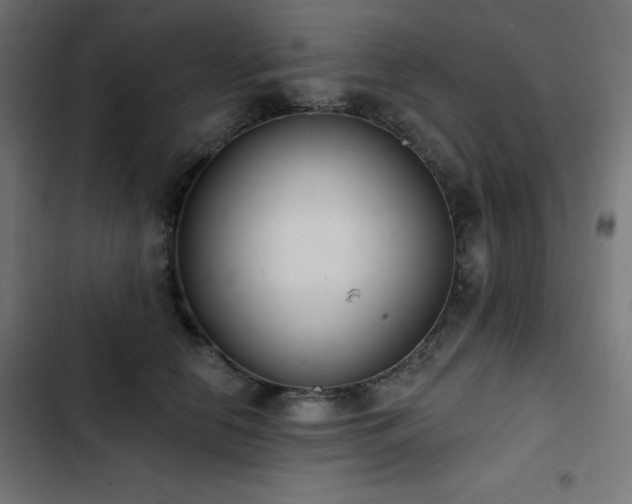 X0000103490658200809121715