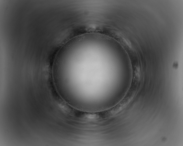 X0000103490659200809121715