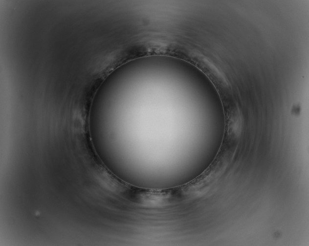 X0000103490661200809121716