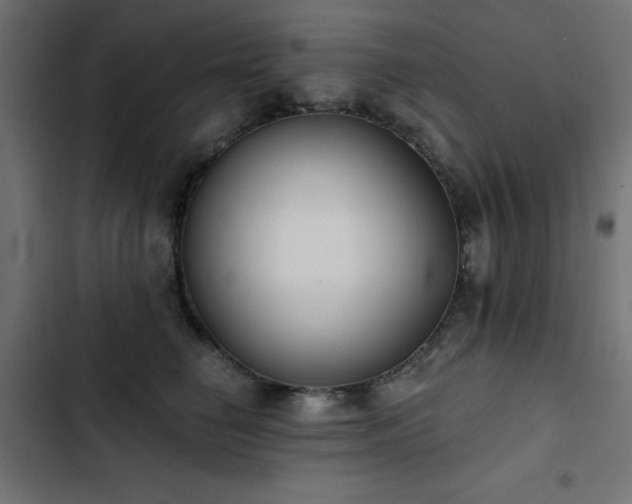 X0000103490662200809121716