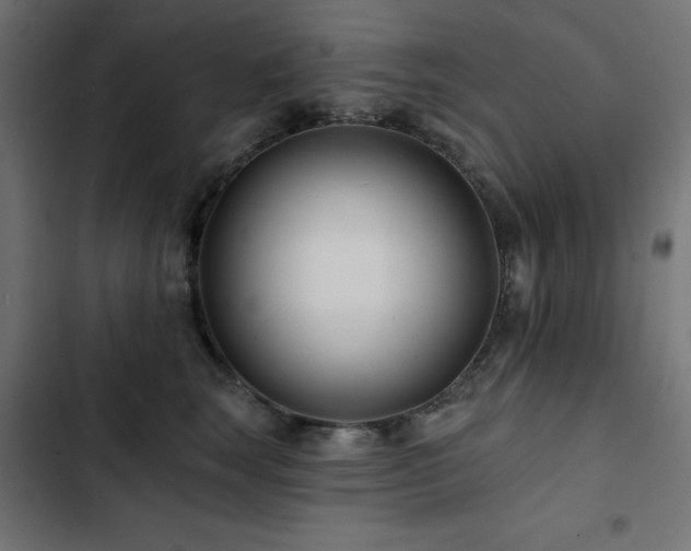 X0000103490663200809121716