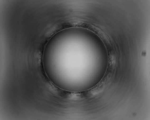 X0000103490664200809121716