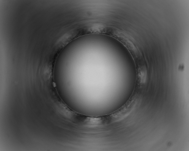 X0000103490665200809121716