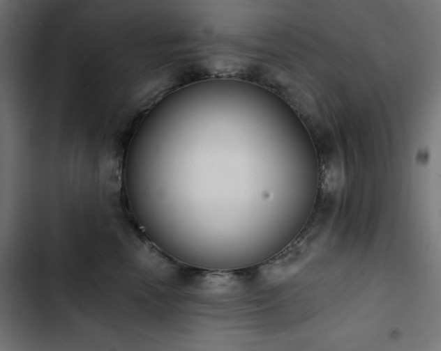 X0000103490666200809121716