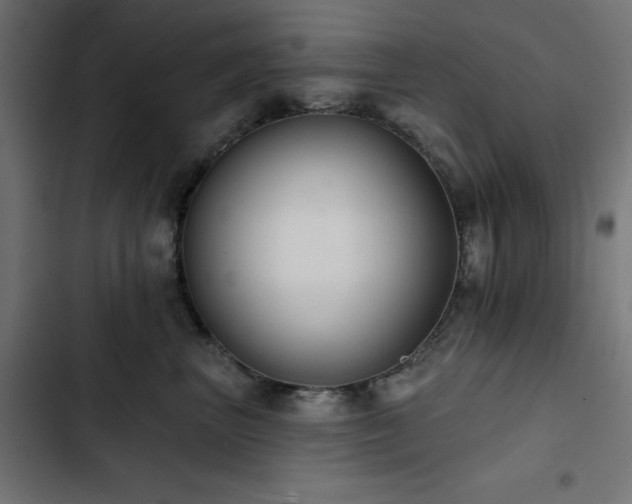 X0000103490667200809121716