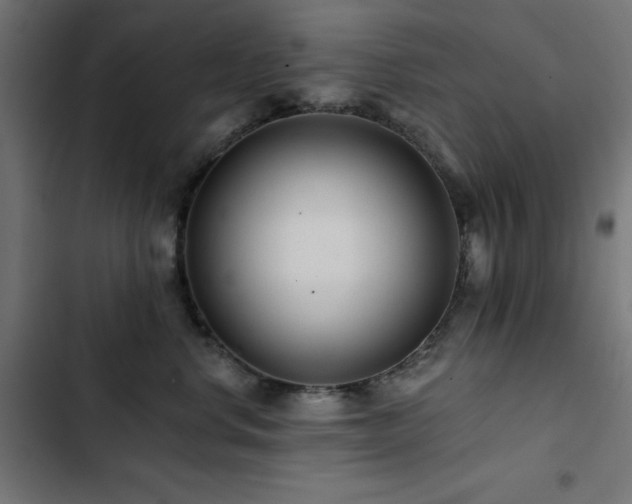 X0000103490668200809121716