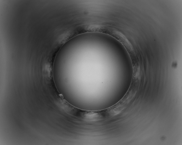 X0000103490669200809121716