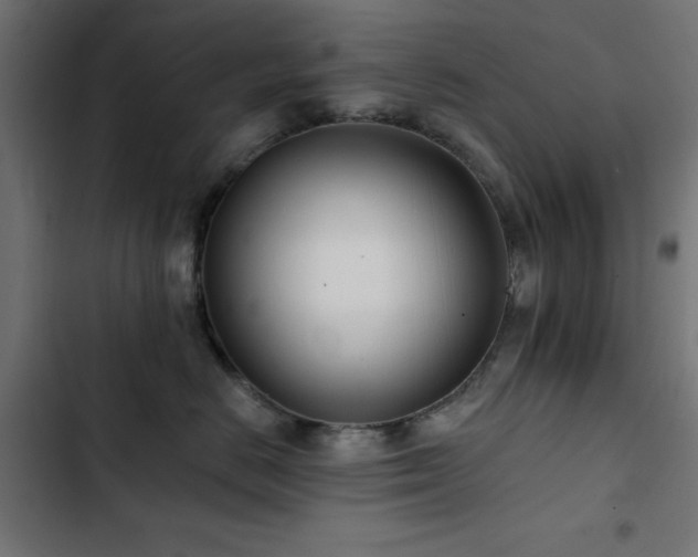 X0000103490670200809121716