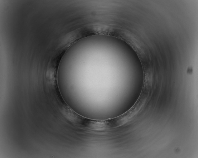 X0000103490671200809121716