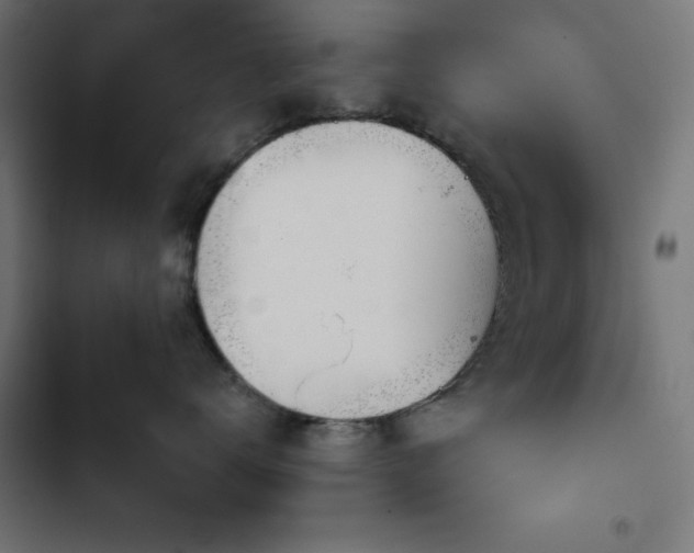 X0000103490672200809121716