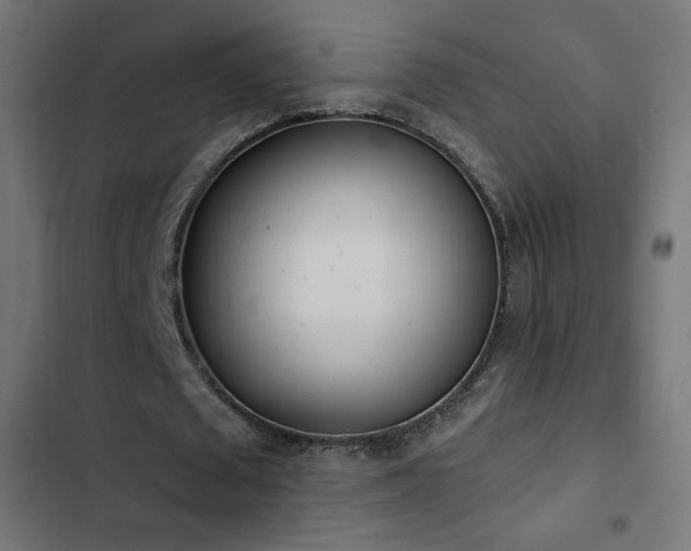 X0000103490673200809121715