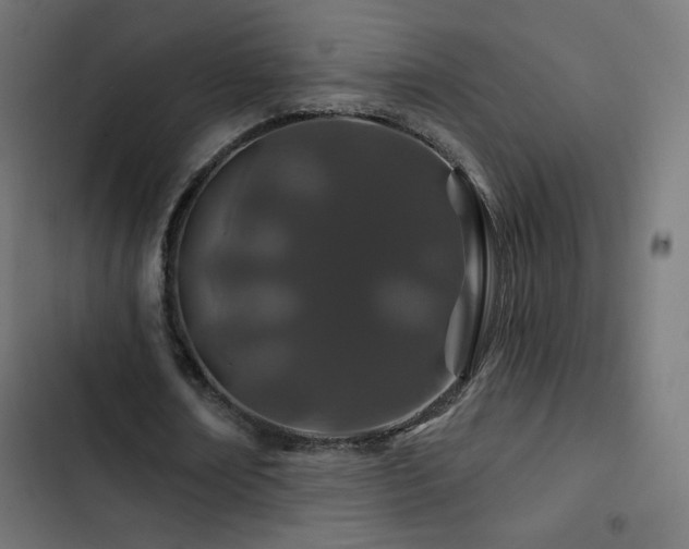 X0000103490674200809121715