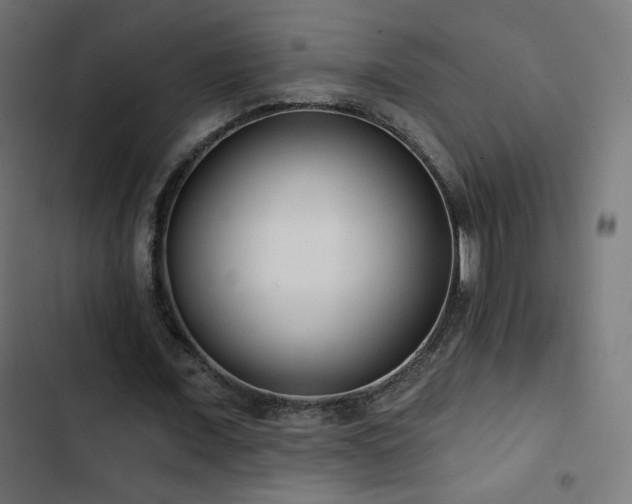 X0000103490675200809121715