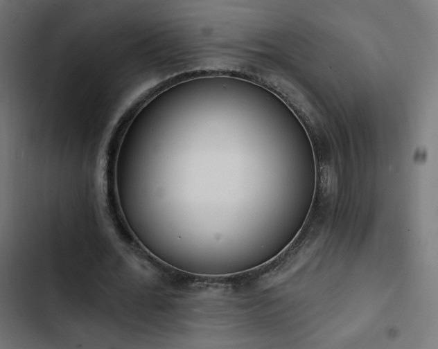 X0000103490676200809121715