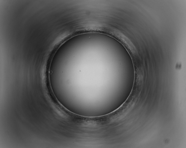 X0000103490677200809121715