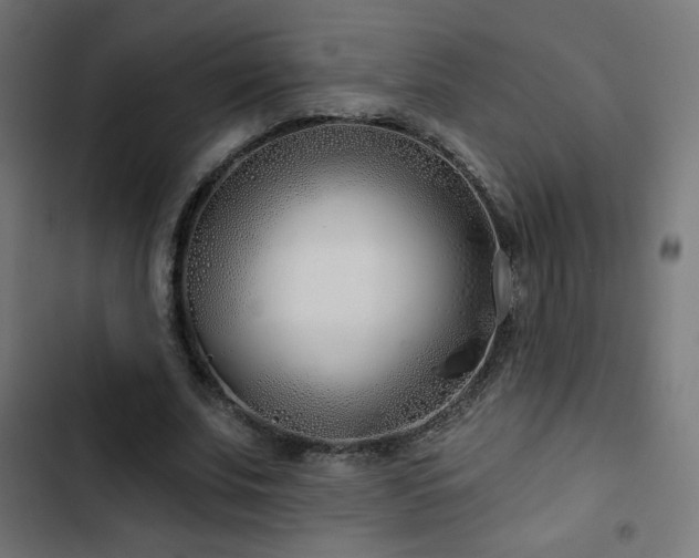 X0000103490679200809121715