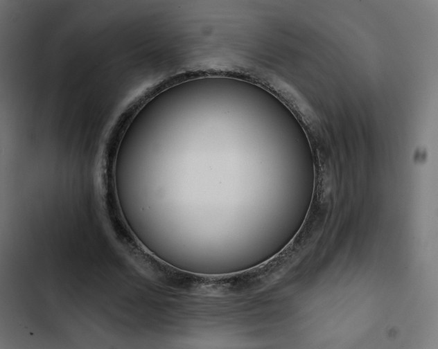 X0000103490680200809121715