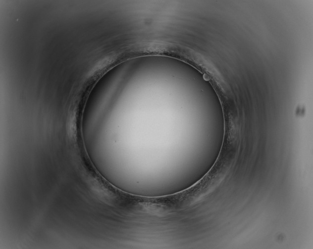 X0000103490681200809121715