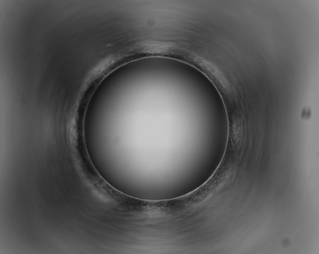 X0000103490682200809121715