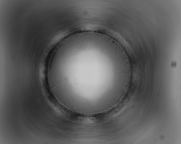 X0000103490683200809121715