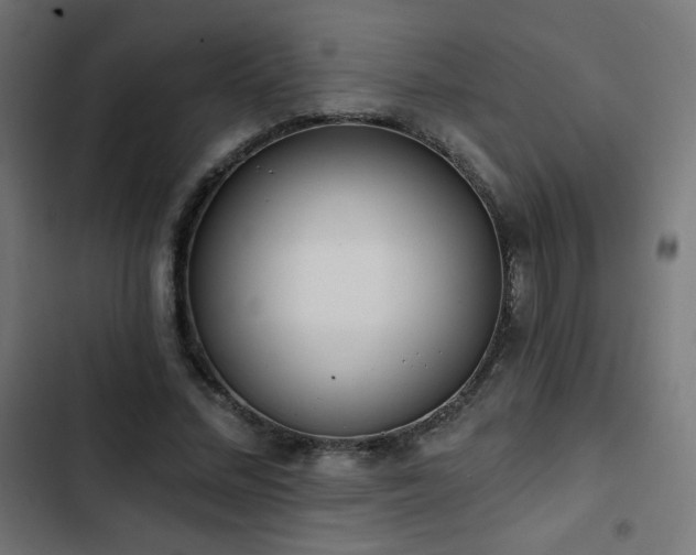 X0000103490684200809121715