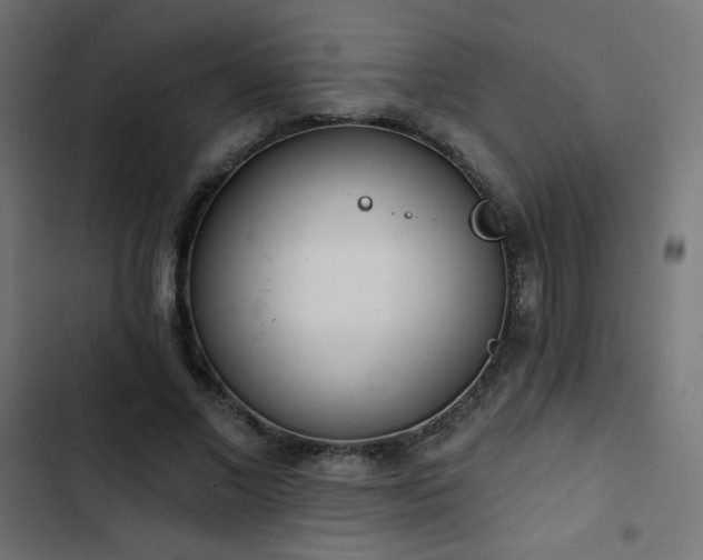 X0000103490685200809121715