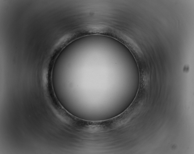 X0000103490686200809121715