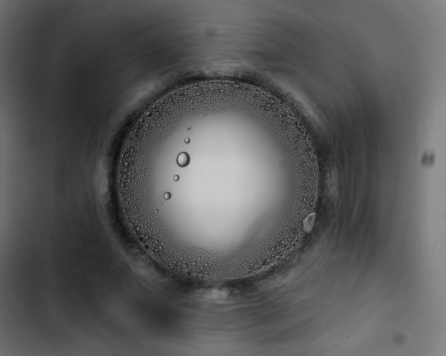 X0000103490687200809121715