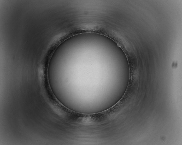 X0000103490688200809121715