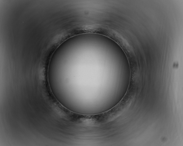 X0000103490689200809121715