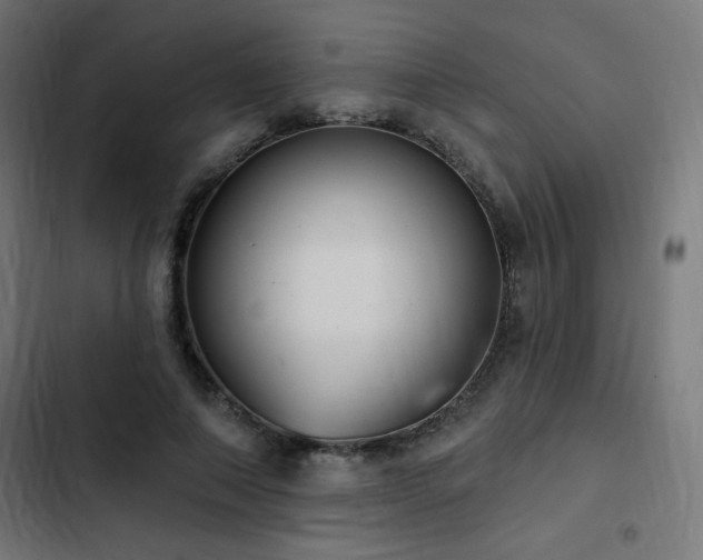 X0000103490690200809121715