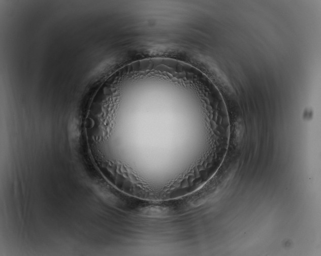 X0000103490691200809121715