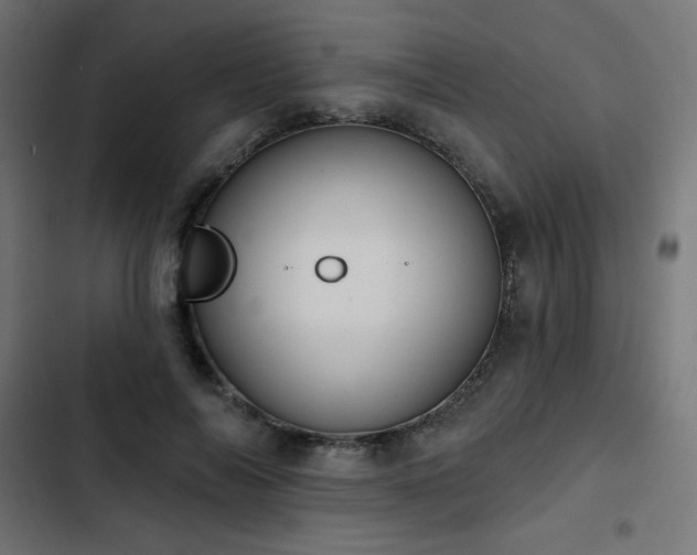 X0000103490694200809121715