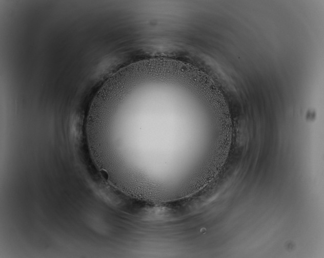 X0000103490695200809121715