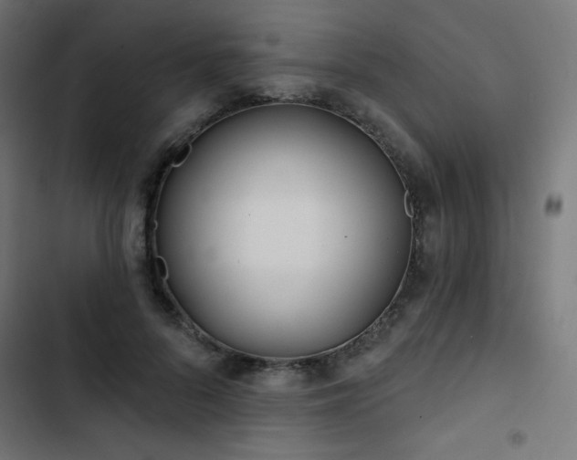 X0000103490696200809121715